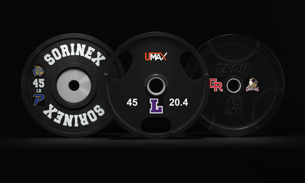 Dumbbell, bumper plate & bar-end logos — application example